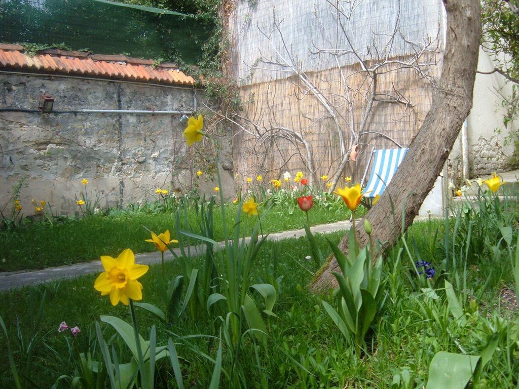 Le Jardin de Cécile et Benoit - Bed and Breakfast Malakoff Exterior foto